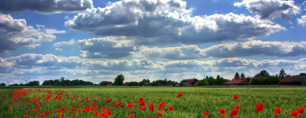 پیام تبریک نوروز 1404