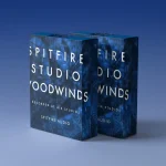خرید وی اس تی Spitfire Audio – Spitfire Studio Woodwinds
